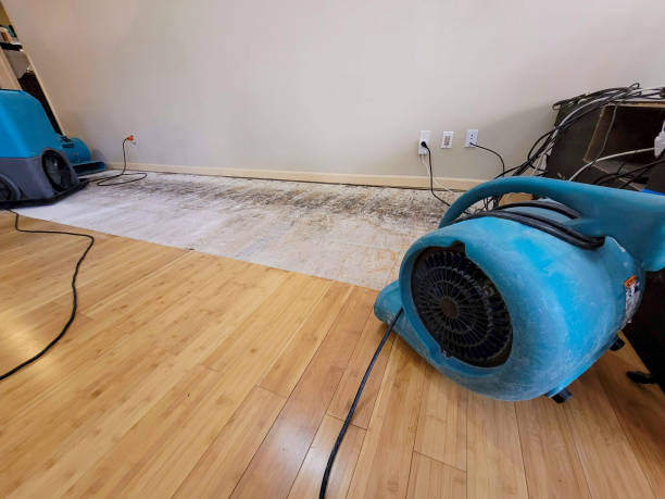 Professional Water Removal technician working in Hadlyme, CT